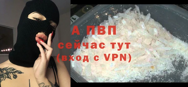 apvp Алзамай