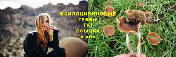 скорость Алексин