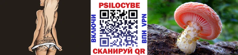 Псилоцибиновые грибы мухоморы  Берёзовский 